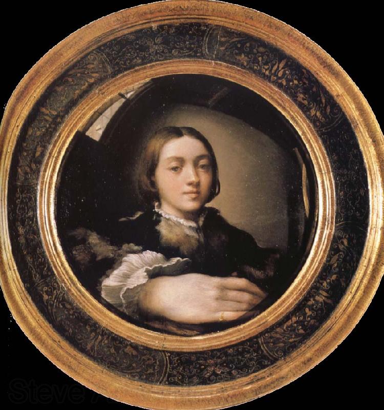 Francesco Parmigianino Self-portrait in a Convex Mirror Spain oil painting art